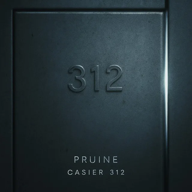 Casier 312 — Pruine