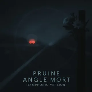 Angle mort (Symphonic Version)