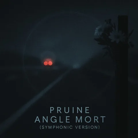 Angle mort (Symphonic Version) — Pruine