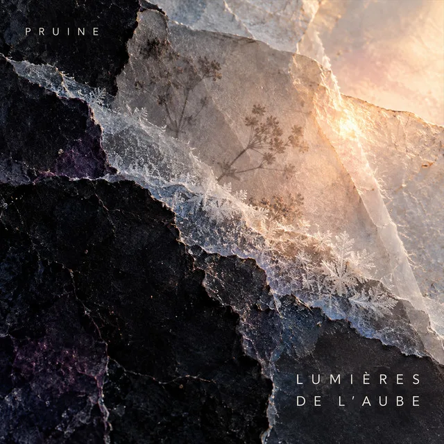 Lumières de l’aube — Pruine